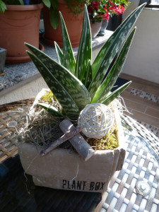 geburtstagsblume1