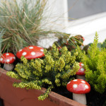 herbstkasten1