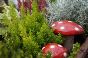 herbstkasten4