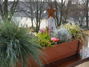 winterkasten2