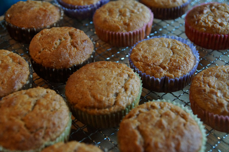 Vollwert-Apfelmus-Haferflocken-Muffins | Little Green Planet
