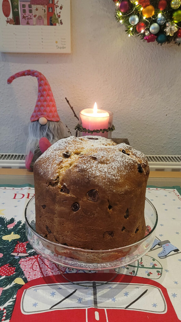 frisch gebackene Panettone